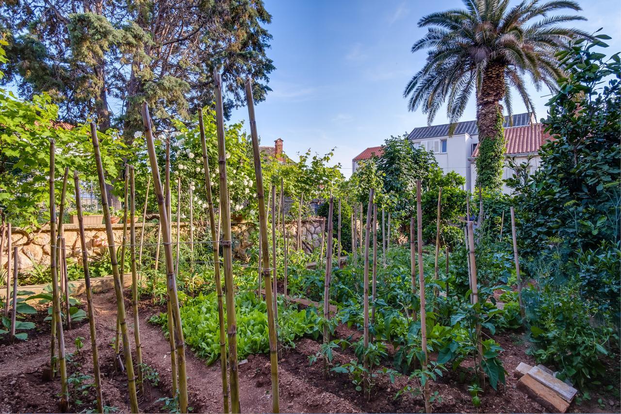 Apartments Beba مالي لوشينغْ المظهر الخارجي الصورة